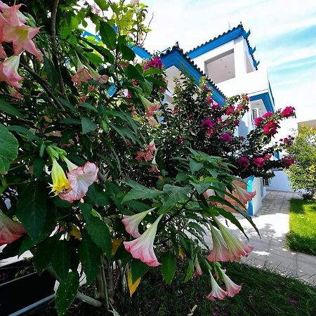 Sicci Villa Near The Airport & Sea Athena Bagian luar foto